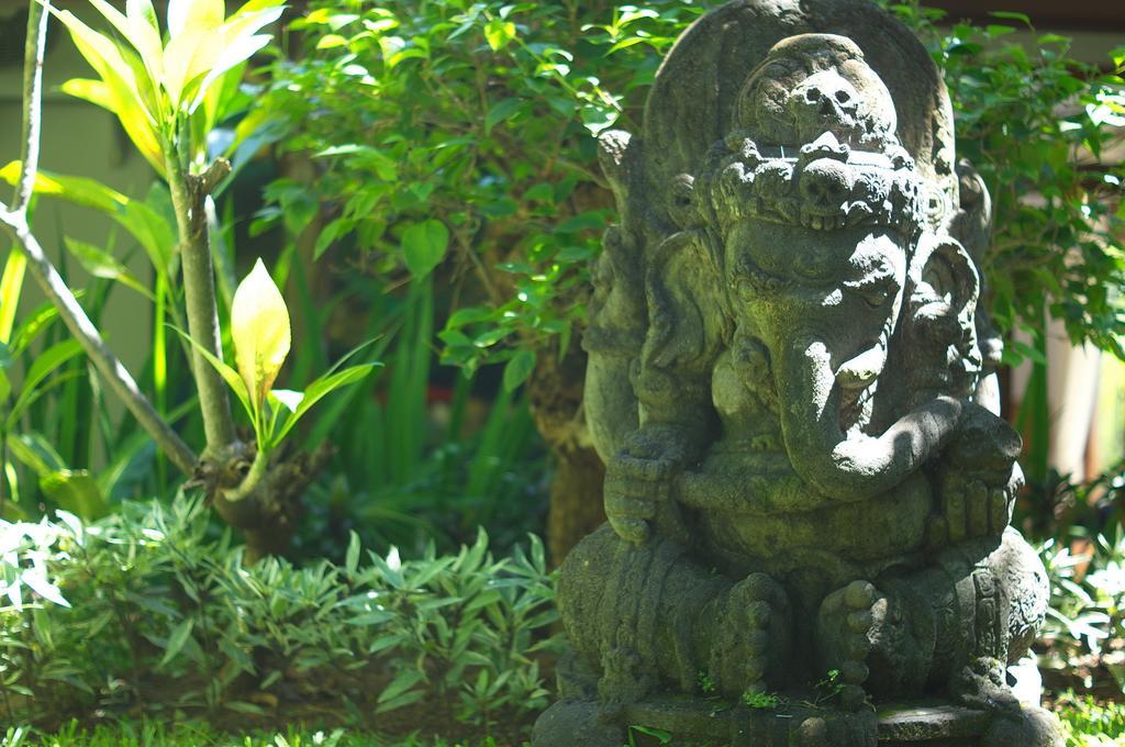 Indo Rumah Zengarden Pabean Buleleng Habitación foto