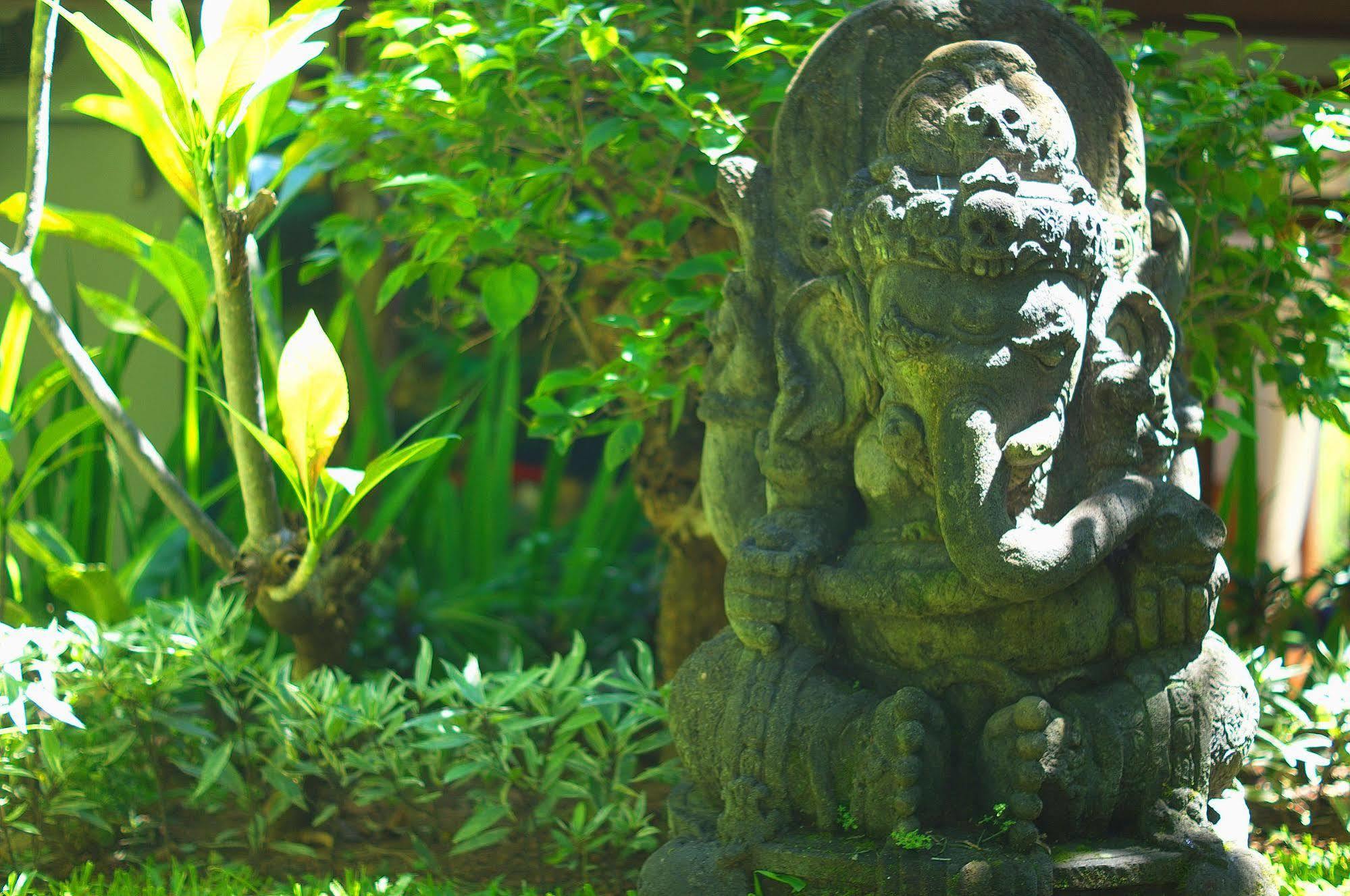 Indo Rumah Zengarden Pabean Buleleng Exterior foto